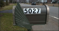 buffalo steel
